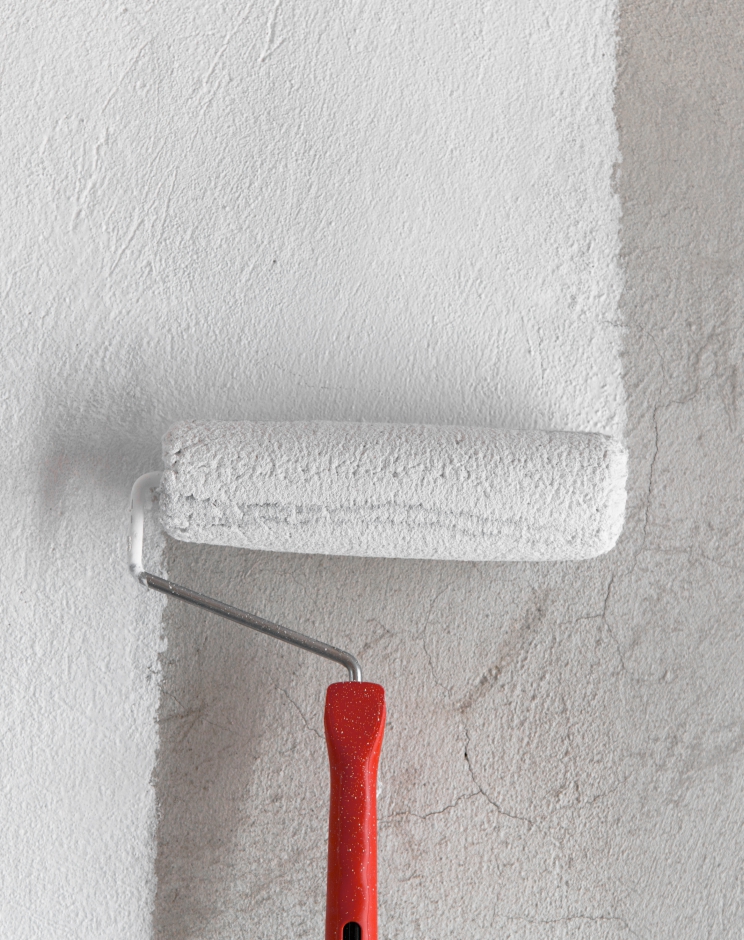 Premium Wall Primer