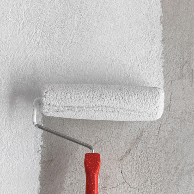 Why Choose Premium Wall Primer?