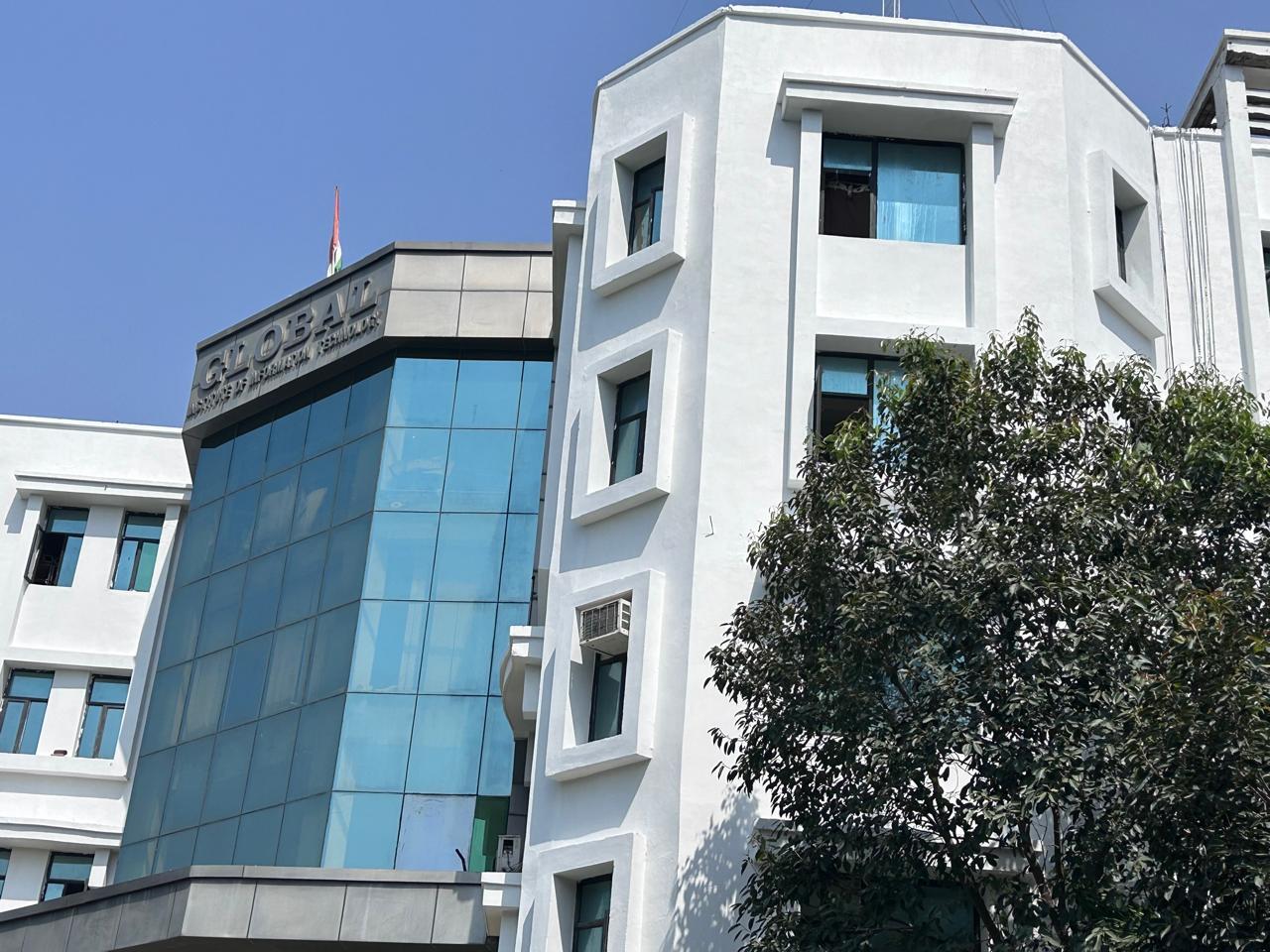 Global Institute of Management, Noida